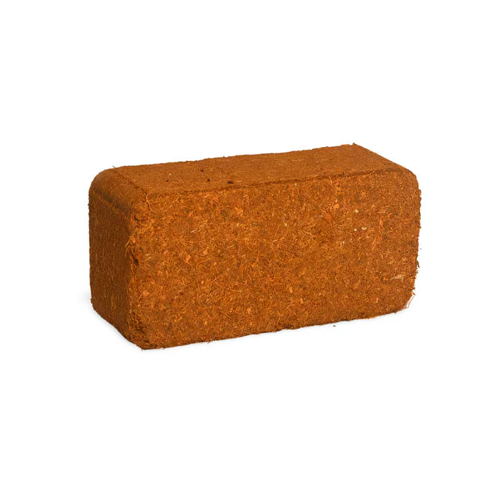 Organic Coco Coir Brick (650g) – For Mushroom Substrate & CVG Urban Myco