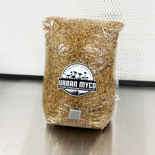 Millet Grain Bag for Mushroom Spawn – Sterilised and Ready to Use Urban Myco